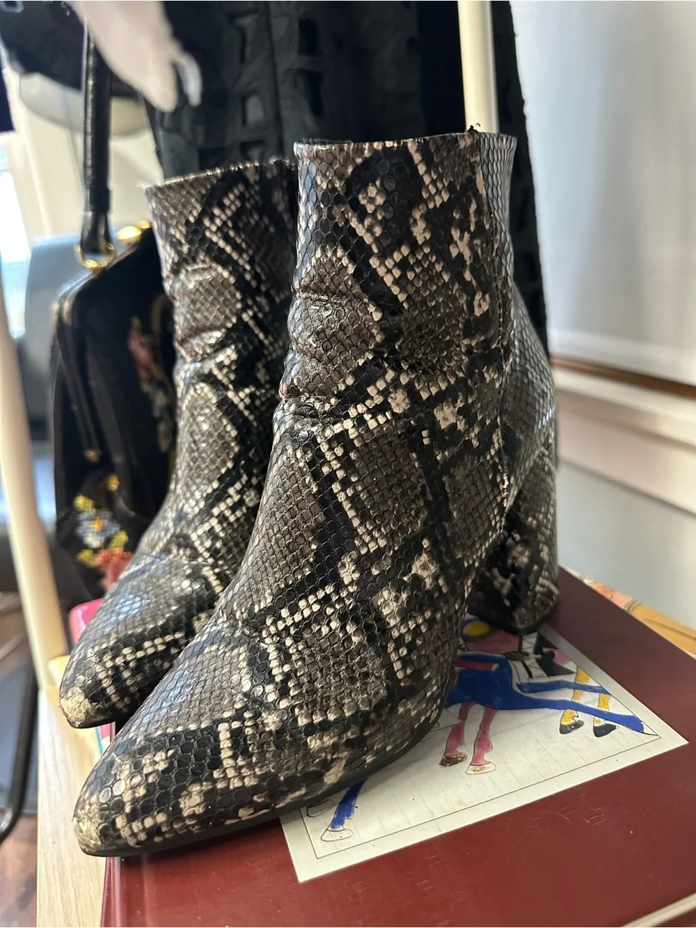 Steve Madden Black & Gray Snake-Print Ankle Boots